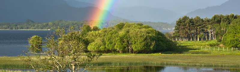 Killarney Rainbow