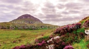 Consecrate Ireland to Immaculate Heart of Mary