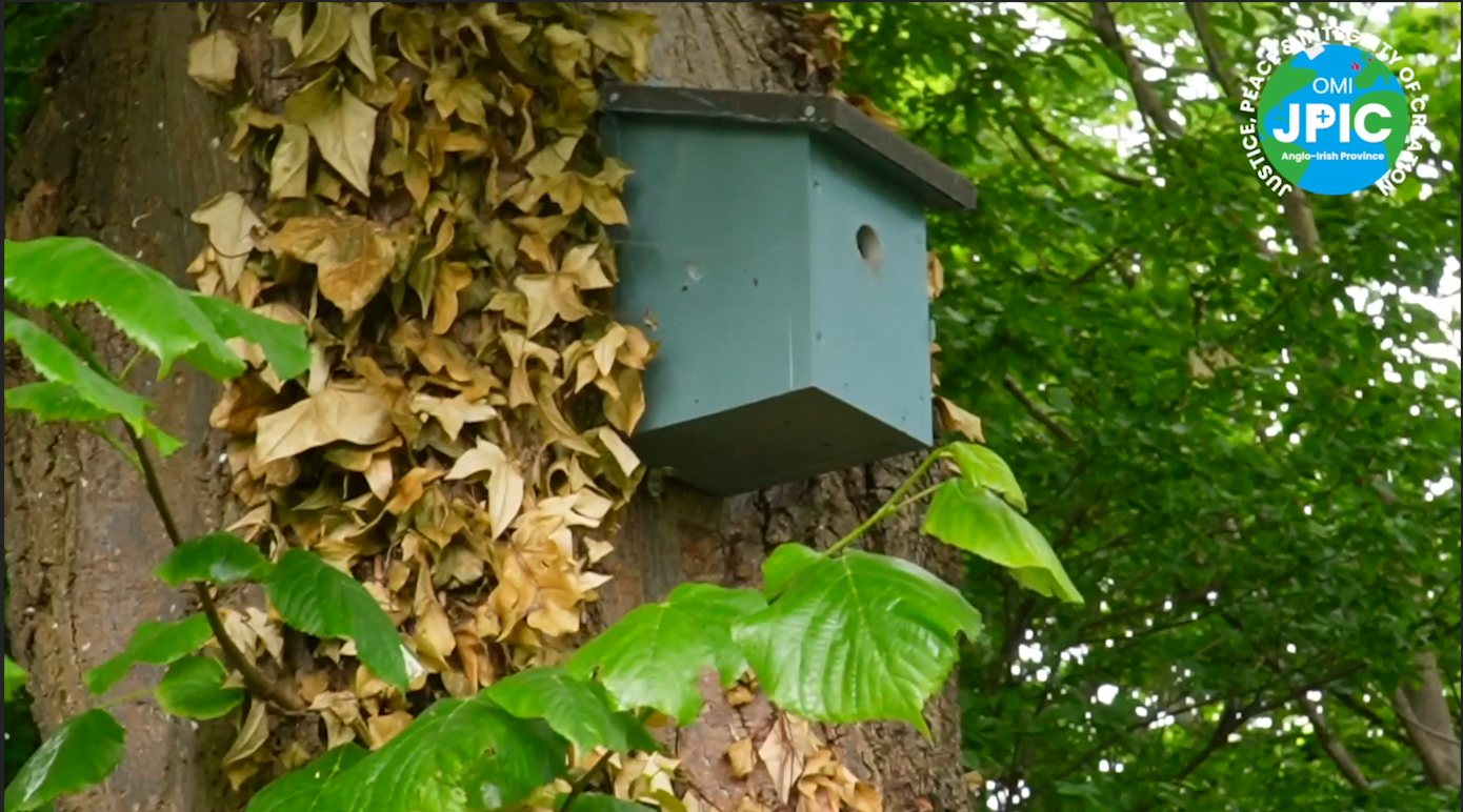 bird boxes biodiversity