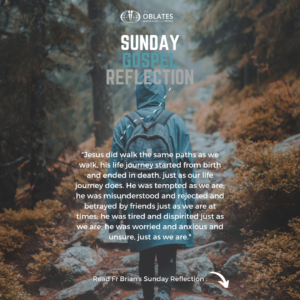 Sunday Gospel Reflection November 6th