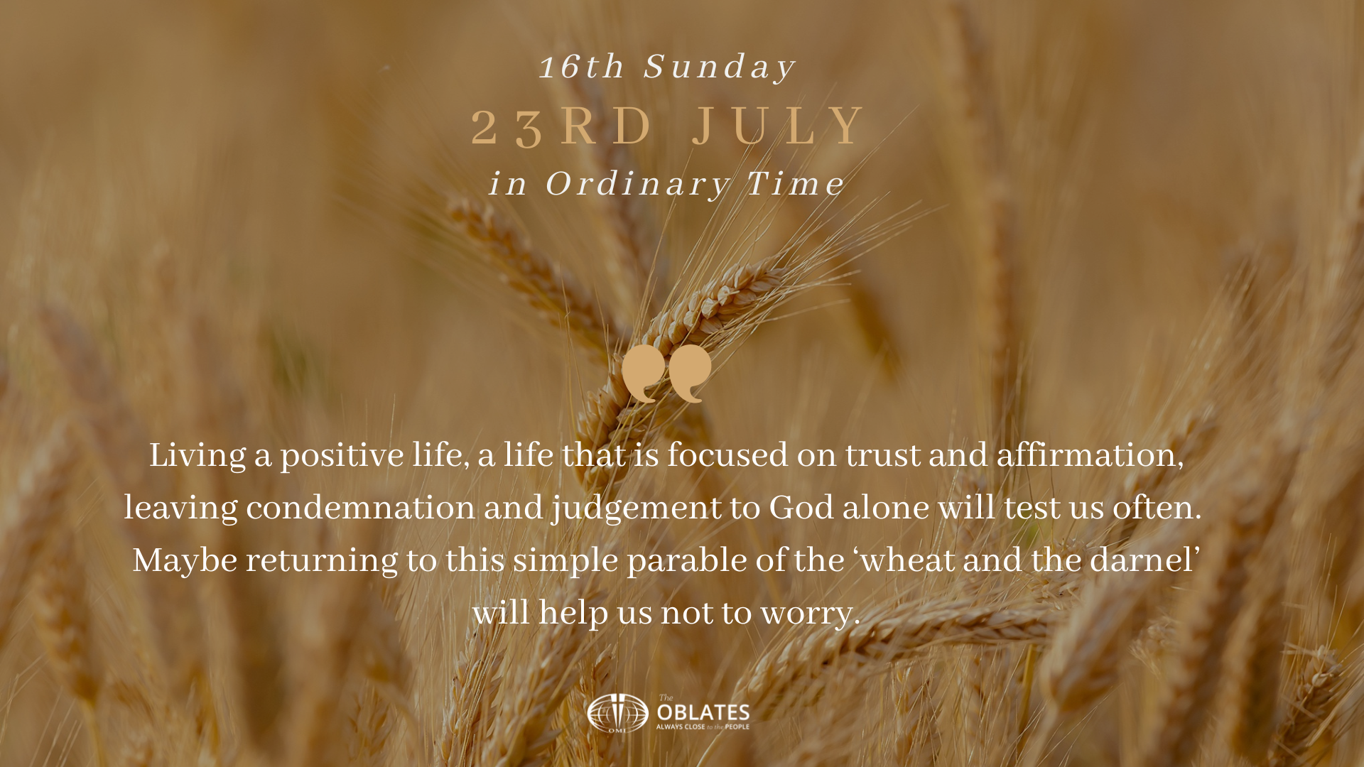 Sunday Reflection Graphic Wheat and Danrel July 23rd