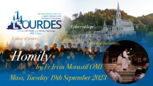 Lourdes Mass Homily Pilgrimage Fr Irvin